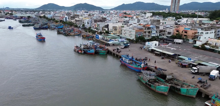Có cảng cá ở tỉnh Bà Rịa - Vũng Tàu vi phạm IUU đã được khởi tố, điều tra. Trong ảnh là một cảng cá tại huyện Long Điền - Ảnh: ĐÔNG HÀ  