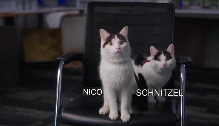 Chân dung hai ngôi sao Schnitzel và Nico của phim Vùng đất câm lặng: Ngày một - Ảnh: X
