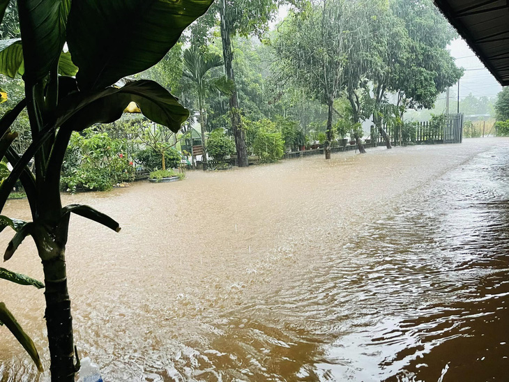 Mưa lớn gây ngập úng ở huyện Vị Xuyên - Ảnh: N. HOÀN