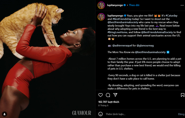 Sau khi A Quiet Place đóng máy, diễn viên chính Lupita Nyong’o đã nhận nuôi một chú mèo cam tên Yo Yo, vượt qua nỗi sợ mèo của mình - Ảnh: Instagram nhân vật