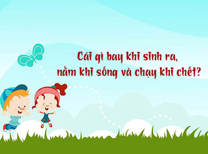 Cái gì bay khi sinh ra, nằm khi sống và chạy khi chết?- Ảnh 1.