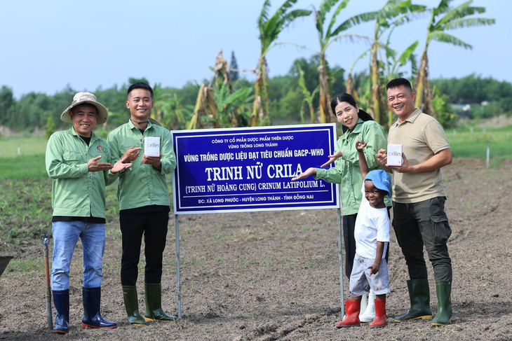 Quang Linh Vlogs trải nghiệm thực tế vùng trồng Trinh nữ Crila- Ảnh 1.