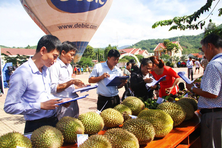 Lễ hội trái cây Khánh Sơn dự kiến sẽ thu hút hàng chục ngàn khách du lịch - Ảnh: MINH CHIẾN