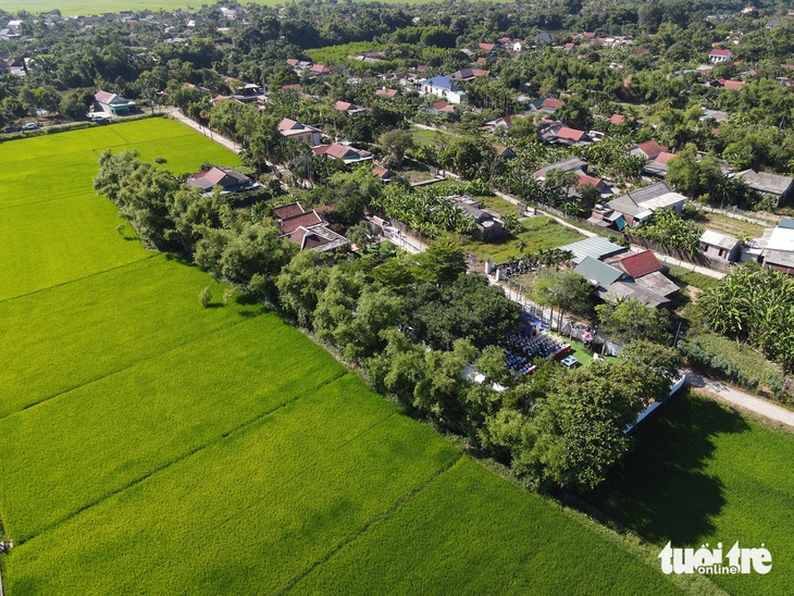 Triển lãm ở không gian xanh mát, bao quanh bởi ruộng vườn nơi ông sinh ra - Ảnh: HOÀNG TÁO
