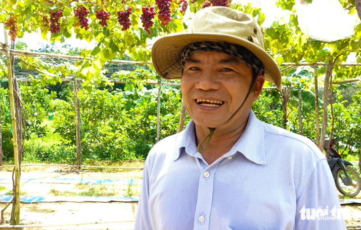 Sau hai lần thất bại, tốn cả trăm triệu đồng, ông Nguyễn Bá Vũ - ở ấp Bến Tràm, xã Cửa Dương, TP Phú Quốc - mới trồng thành công nho - Ảnh: CHÍ CÔNG