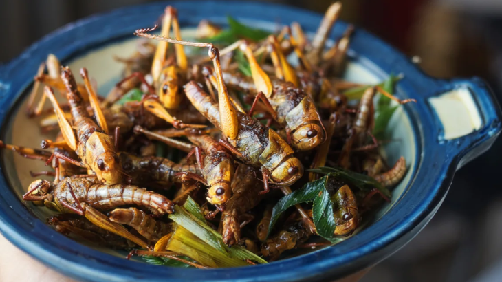 Côn trùng chiên hiện đã có thể có mặt trong menu các nhà hàng ở Singapore - Ảnh: GETTY IMAGES