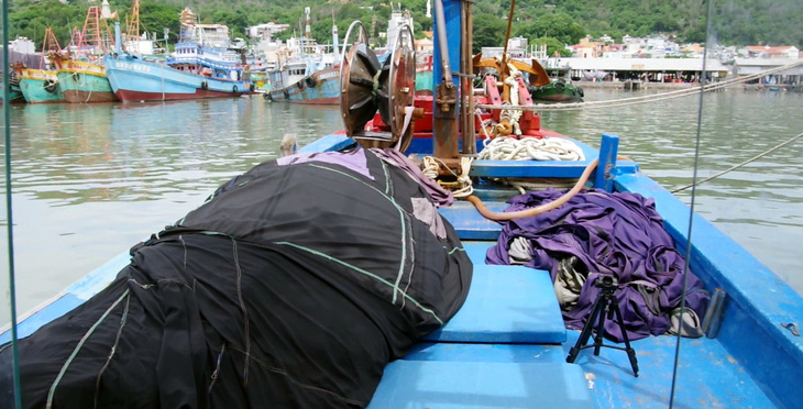 Tàu cá này được chủ, thuyền trưởng đưa sang vùng biển nước khác đánh bắt trái phép - Ảnh: Đ.H.