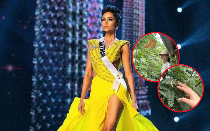 'Trò cưng' Võ Hoàng Yến đánh bại loạt đối thủ mạnh tại Miss Universe Vietnam - Ảnh 3.