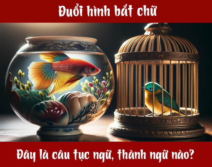 Câu tục ngữ, thành ngữ 'khó nhằn' này là gì? (P62)- Ảnh 1.