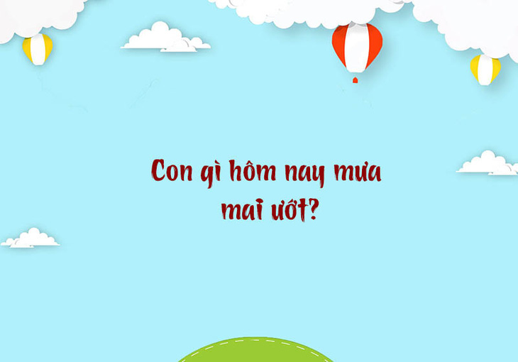 Con gì hôm nay mưa mai ướt?- Ảnh 1.