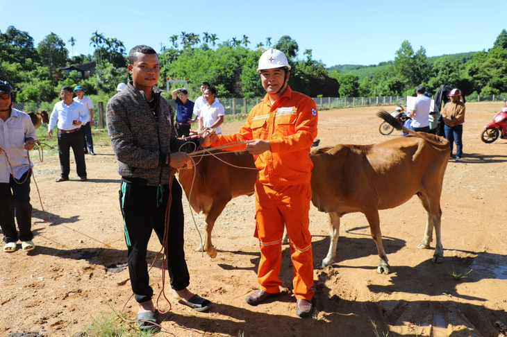 Công ty thủy điện Sông Tranh là một doanh nghiệp làm tốt công tác an sinh xã hội tại địa phương. Trong ảnh là buổi trao tặng bò giống cho người dân vùng lòng hồ thủy điện - Ảnh: THANH THIÊN