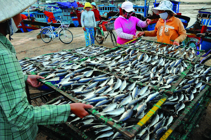 Cảnh báo quá mức về cá "ngậm" thủy ngân - Ảnh 2.