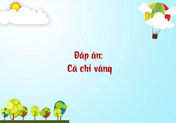 Cá gì mua xong trả lại?- Ảnh 6.