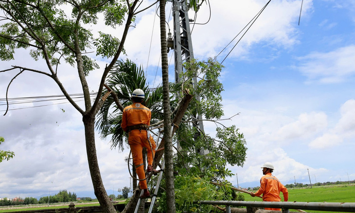 Công nhân Điện lực Quảng Trạch (PC Quảng Bình) phát quang hành lang lưới điện trước mùa mưa bão sắp đến - Ảnh: Q.NAM