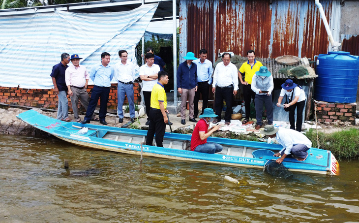 Một hộ dân sản xuất theo quy trình nên sản lượng tôm tăng lên, không lo đầu ra sản phẩm - Ảnh: THANH HUYỀN