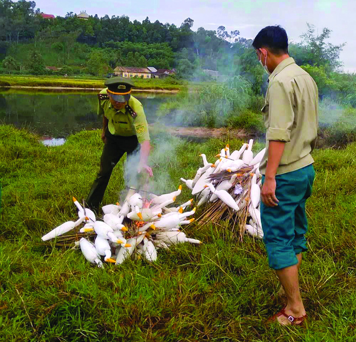 Tiêu thụ thịt động vật hoang dã: Không chỉ mỗi loài thú lâm nguy- Ảnh 3.