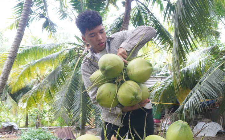 Chăm mẹ nằm viện, nuôi em, vẫn học giỏi nức tiếng và chông chênh đường vào đại học - Ảnh 3.