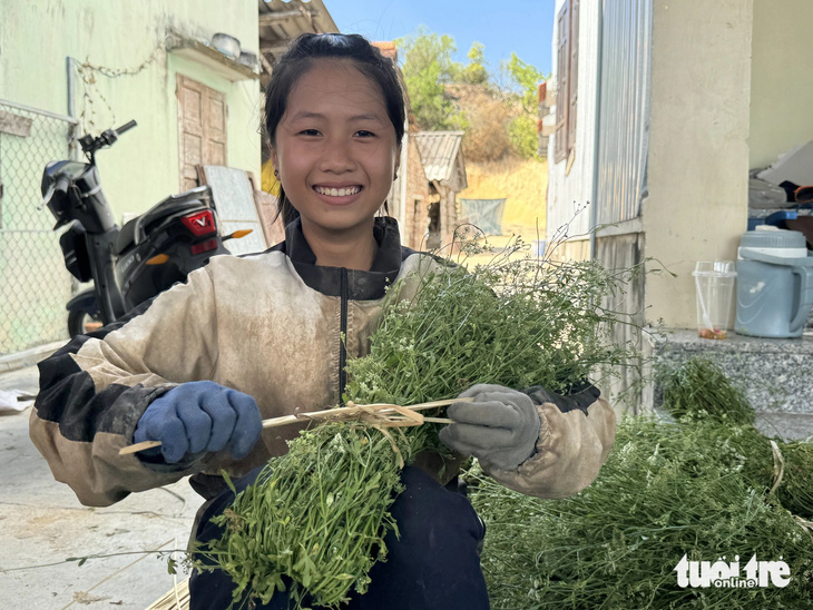 Chuyện bên những dòng sông xứ Quảng - Kỳ 7: Từ làng khoai danh tiếng đến cánh đồng ngát hương - Ảnh 4.