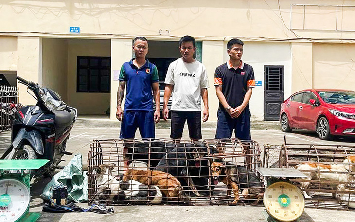 Bắt giữ nhóm trộm chó, một tháng trộm hơn 100 con chó - Ảnh 2.