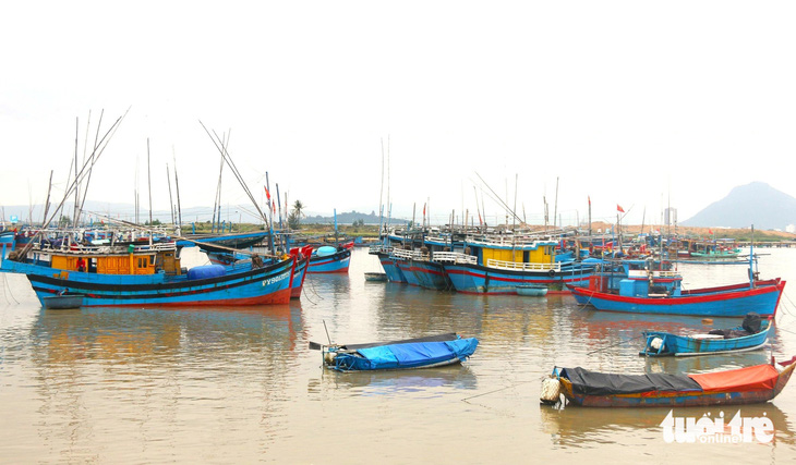 Tàu cá đang neo đậu ở cảng cá Đông Tác (phường Phú Đông, thành phố Tuy Hòa, tỉnh Phú Yên) - Ảnh: NGUYỄN HOÀNG