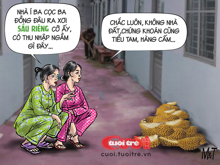 Thám tử sầu riêng đã phán là chuẩn - Tranh: Đỗ Minh Tuấn 