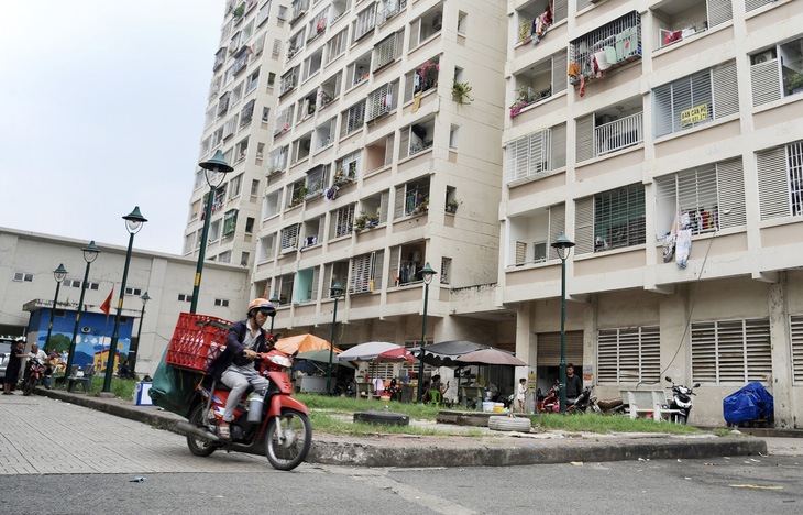 Tin tức sáng 20-9: TP.HCM thay thế hơn 2.700 cây xanh; Ngân hàng bất ngờ giảm lãi suất huy động - Ảnh 8.