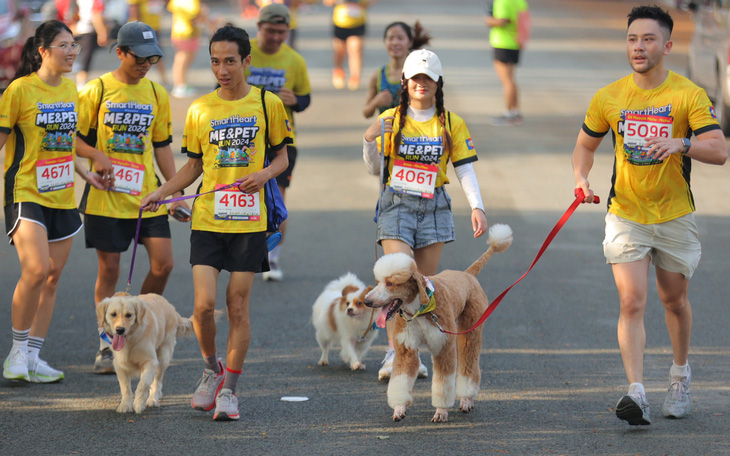 Runner Matthieu Bonne phá kỷ lục thế giới khi chạy bộ liên tục 1.046 km - Ảnh 2.