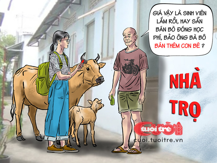 Tân sinh viên dắt bò lên thành phố nhập học - Ảnh 1.