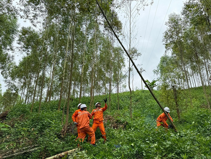 EVNNPC sẵn sàng các phương án đảm bảo cung cấp điện dịp lễ Quốc khánh - Ảnh 1.