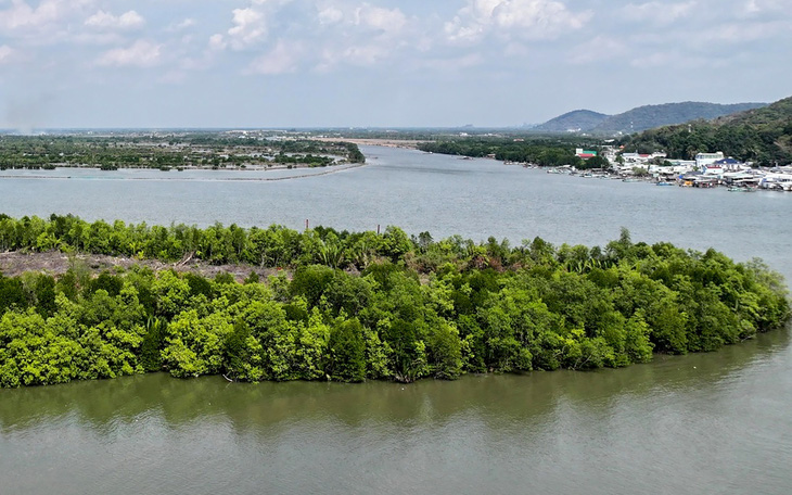 Kiên Giang phạt thêm một người bao chiếm đầm Đông Hồ với tiền 580 triệu đồng - Ảnh 2.