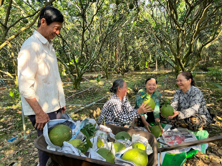 Phân bón Cà Mau đồng hành cùng bà con mang lại những vụ mùa thắng lớn