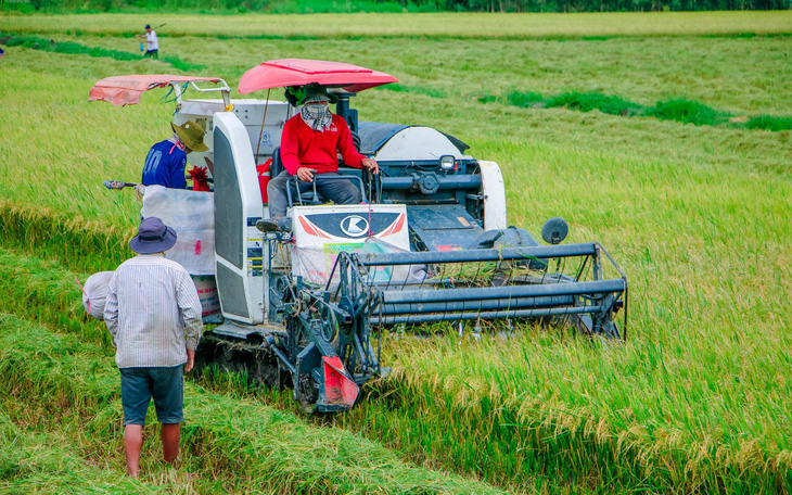 Nông dân Việt Nam xuất sắc 2024 làm gì mà lời tới 20 tỉ đồng/năm? - Ảnh 2.