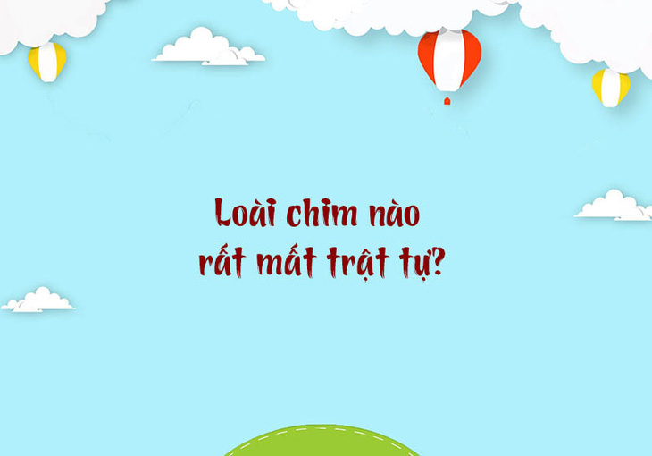 Loài chim nào rất mất trật tự?- Ảnh 1.