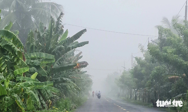 Dọc các con đường ở huyện Châu Thành, tỉnh Bến Tre, sương mù xuất hiện dày đặc che khuất tầm nhìn của người đi đường - Ảnh: MẬU TRƯỜNG