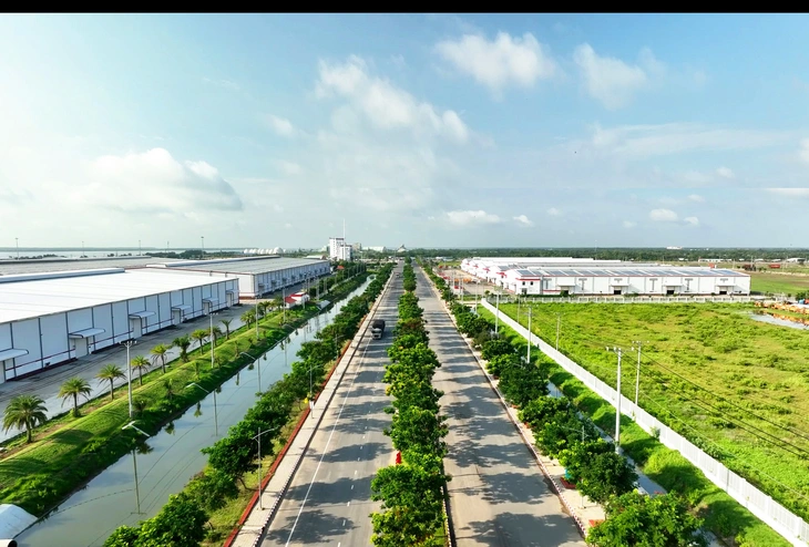 Cảng quốc tế Long An hướng đến phát triển bền vững- Ảnh 4. Không gian xanh mát khu vực cảng