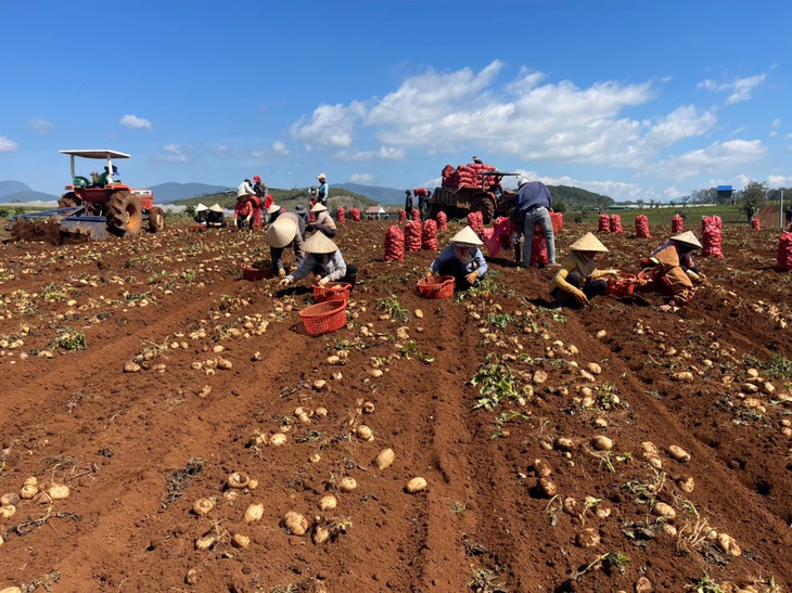 Mô hình liên kết sản xuất khoai tây bền vững của PepsiCo Foods sẽ được mở rộng tại Hà Nam và khu vực phía Bắc