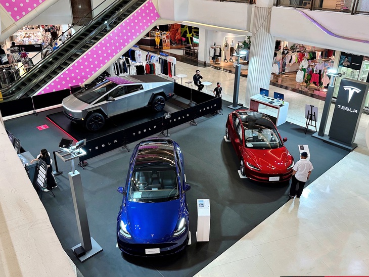 Rộ tin Tesla bỏ xây nhà máy ở Đông Nam Á, các nước đưa ra phản ứng trái chiều- Ảnh 1.