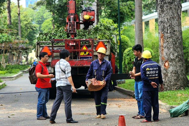 Cơ quan chức năng có mặt tại hiện trường vụ cây xanh tét nhánh gây chết người ở công viên Tao Đàn sáng 9-8 - Ảnh: NGỌC KHẢI