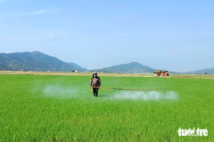 Trồng lúa chất lượng cao, còn hưởng thêm tiền bán tín chỉ carbon - Ảnh 2.