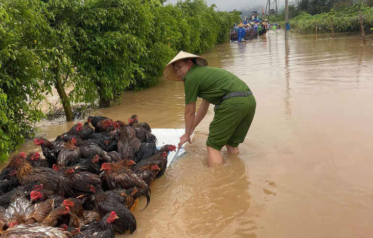 Lũ lụt chưa từng có ở miền Bắc: Cao Bằng vẫn còn 31 người mất tích, đang nỗ lực tìm kiếm - Ảnh 11.