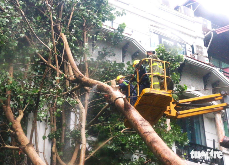 Công nhân cây xanh TP.HCM di dời cây xanh cao hơn 20 mét đè trúng hai ngôi nhà trên phố cổ Hà Nội - Ảnh 1.