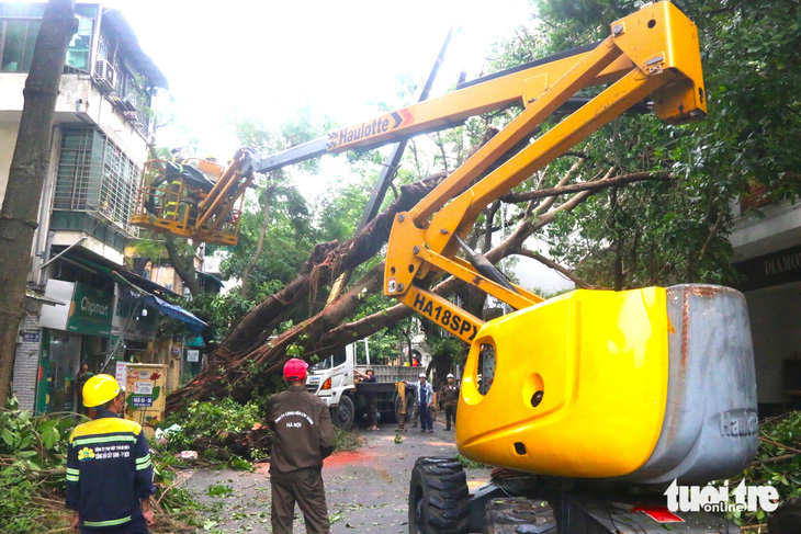 Công nhân cây xanh TP.HCM di dời cây đa cao hơn 20 mét đè trúng hai ngôi nhà trên phố cổ Hà Nội - Ảnh 4.