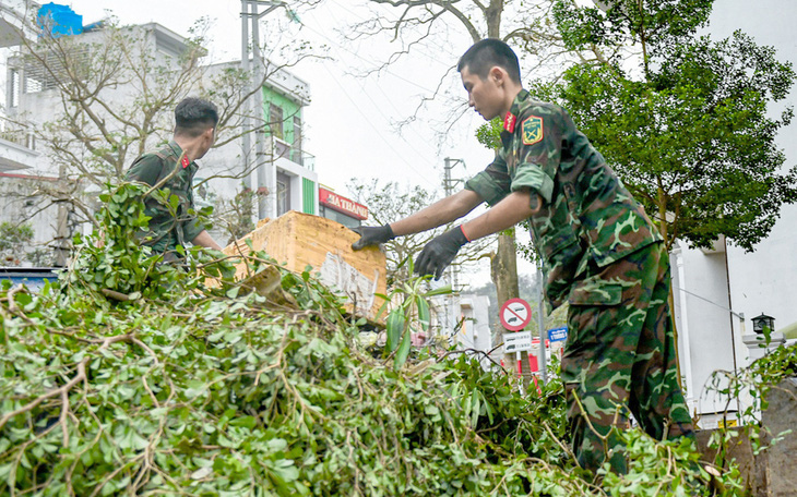 Khan hiếm tôn, sắt sau bão số 3 Yagi nhưng nhiều đại lý không tăng giá - Ảnh 2.