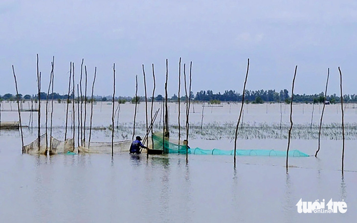 Dân không thể tham gia mô hình trữ thủy sản mùa lũ vì không có vốn 3 triệu đồng - Ảnh 3.