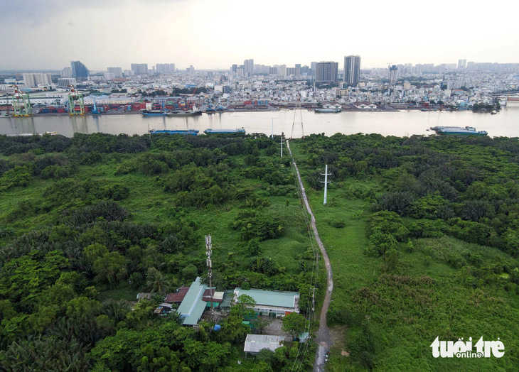 TP.HCM làm gì để trồng thêm cây xanh, công viên sinh thái? - Ảnh 1.