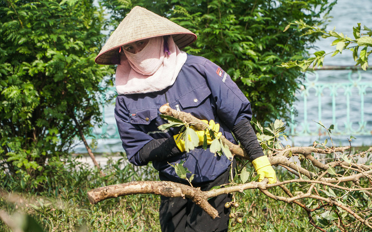 Cây trồng nhưng bọc nguyên vỏ bao xi măng ở rễ, Hà Nội 'truy tìm' chủ đầu tư - Ảnh 4.