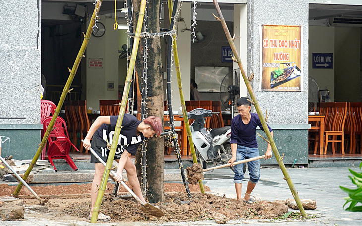 Cây trồng nhưng bọc nguyên vỏ bao xi măng ở rễ, Hà Nội 'truy tìm' chủ đầu tư - Ảnh 4.