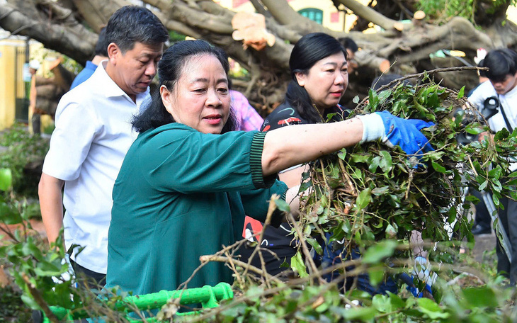 Dọn, cứu cây xanh: Người ít nhưng việc quá nhiều - Ảnh 2.