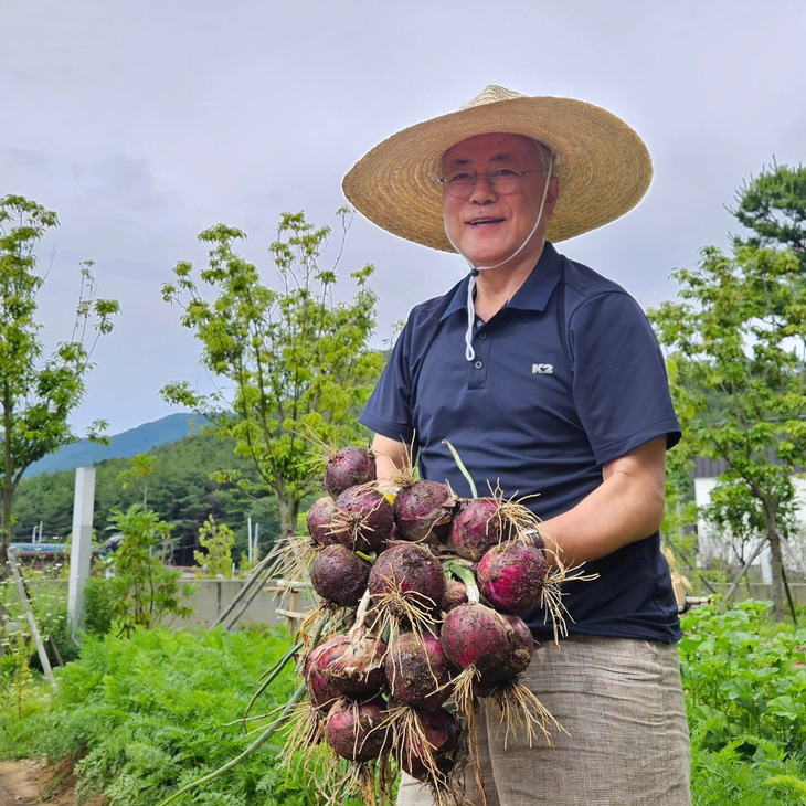 Cựu tổng thống Hàn Quốc Moon Jae In khoe khoai lang, đậu phộng tự trồng ở quê - Ảnh 6.