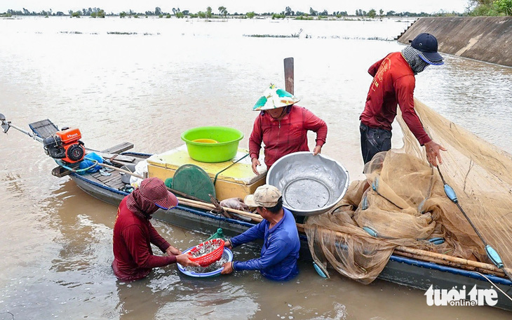 Miền Tây chờ đón mùa nước nổi - Ảnh 2.